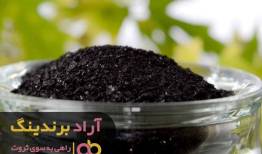 به کمک کود گنج زندگی‌ام را یافتم