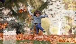 عکس‌های پاییزی را در این لوکیشین بی‌نظیر بگیرید