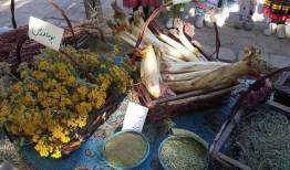برندسازی گیاهان دارویی تکلیف سازمانی میراث فرهنگی تربت‌حیدریه است