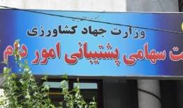 مناقصه ایران برای خرید ۳۰۰ هزار تن ذرت و دانه سویا از بازار جهانی