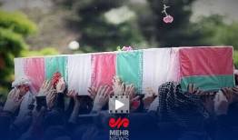 برای این گل قرمز...