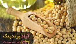 رمز موفقیت را در خود پیدا کنید