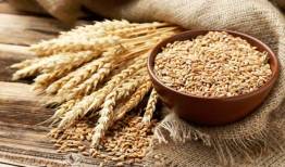 هزینه تولید گندم بهار امسال چقدر بود؟