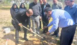 پویش درختکاری «سرو ایران» در دشتستان برگزار شد