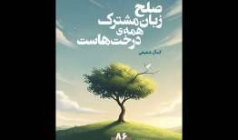 مجموعه‌شعری برای نوجوان‌ها؛ شعر نوجوان کم‌مخاطب نیست، کودکانه است!