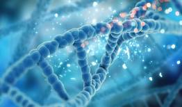 DNA در نقش معمار نانو؛ راهی تازه برای طراحی سه‌بعدی مواد پیشرفته