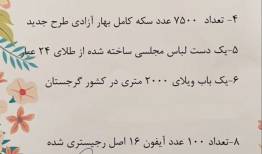 مهریه عجیب یک دختر ایرانی که وایرال شد