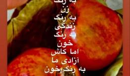 دو استوری پُرحاشیه بهاره رهنما پربازدید شد