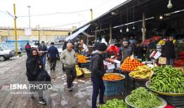 عرضه مستقیم میوه و تره بار در ۵۰ غرفه در سطح مشهد برای ماه رمضان و نوروز