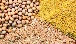 تخصیص ارز ۴۲۰۰ تومانی اقتصاد را دولتی تر کرد