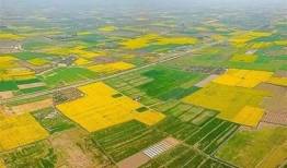 خروجی دانشگاه ها پاسخگوی نیاز بخش کشاورزی نیست