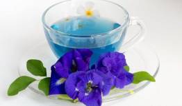 این گیاه بهترین دارو برای ورم روده و التهاب کلیه