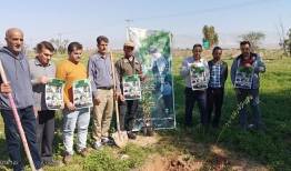 ۲۰۰ اصله نهال در پویش سرو ایران در شهرستان دهلران غرس شد