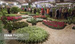 شیراز، میزبان نمایشگاه ملی گل و گیاه