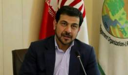 ستاد ملی حمایت از جنگل های زاگرس تشکیل میشود