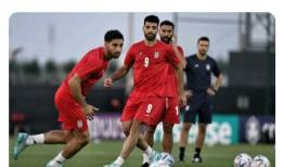 توئیت جنجالی گل‌محمدی درباره باخت ملی‌پوشان