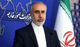 کنعانی حمله نژادپرستانه پلیس فرانسه را محکوم کرد