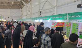 برگزاری نمایشگاه بهاره عرضه مستقیم کالا در همدان