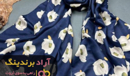 با در آمد کم در حوزه شال میلیونر شدم