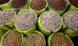 برپایی نمایشگاه‌های عرضه اقلام اساسی در فردیس و مشکین‌دشت