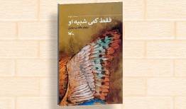 کتاب «فقط کمی شبیه او» منتشر شد