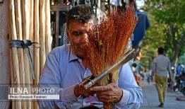 تصاویری از یک شغل فراموش شده تهران