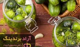 جایگاه بالا در ثروت را مدیون ردپای خیارشور هستم