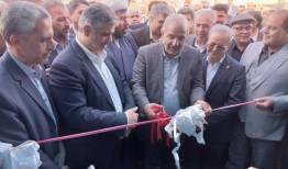 نمایشگاه چهارمین جشنواره ملی انار ساوه آغاز به کار کرد