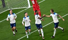 این شیرها مدعی قهرمانی هستند!