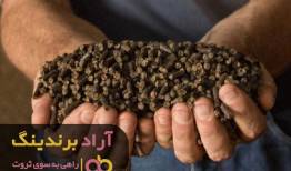 با کود به تمام خیال‌هایم خاتمه دادم