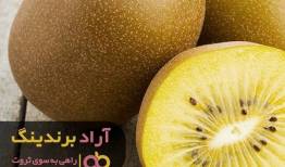 روزانه با دو ساعت کار به در آمد میلیونی برسید