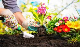 ایجاد فضای سبز راه حل مشکلات شهری