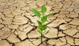  از اعتبارات خشکسالی نگاه ویژه ای به لرستان خواهیم داشت