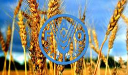 قیمت مواد غذایی در جهان به بالاترین رقم خود رسید
