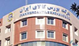 عرضه  ۵۸۵ هزار تن انواع محصول در بورس کالا