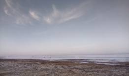 اشکواره‌ای برای میانکاله
