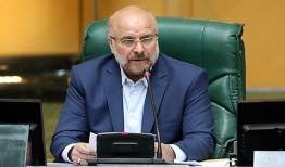 تاکید رئیس مجلس به پیگیری جدی موضوع مهسا امینی