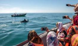 امید به رونق دوباره گردشگری ایران پس از واکسیناسیون
