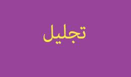 5 استاد لرستانی جزو فهرست دو درصد دانشمندان برتر جهان تجلیل شدند