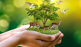تنوع زیستی در محاصره مخاطرات خشکسالی