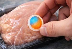 ایروژل‌های هوشمند برای تشخیص فساد مواد غذایی طراحی شدند