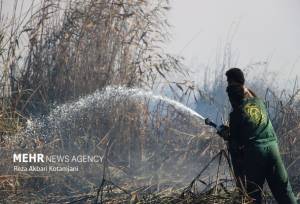 حریق حدود ۱۰ هکتاری در نیزارهای تالاب انزلی؛ عملیات مهار ادامه دارد