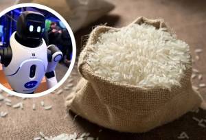 استفاده از برنج در ساخت روبات‌ها و تجهیزات مقاوم در برابر ضربه