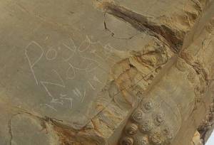 توضیح مجموعه جهانی تخت جمشید در خصوص یادگاری‌نویسی در دروازه ملل