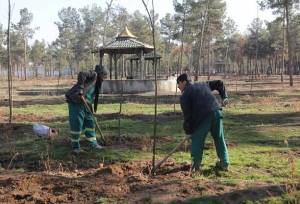 کاشت ۲۴ هزار نهال در بوستان جنگلی سرخه حصار