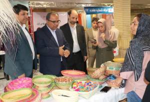 فرماندار بوشهر: طرح‌های کارآفرینی بانوان حمایت شود