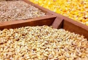 ادبیان: بیش از ۵۶ هزار تن نهاده کشاورزی در زنجان تأمین و توزیع شد