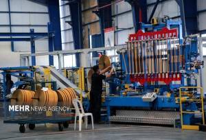 حسن‌زاده: گره تولید ۲۳ واحد گلستانی در کارگروه تسهیل باز شد