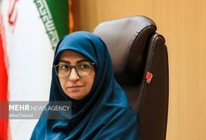 انصاری: با انبوهی از ترک فعل‌ها در اجرای قانون هوای پاک مواجه هستیم