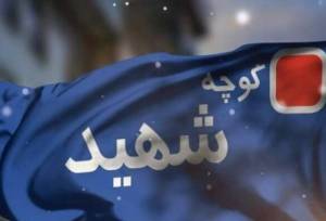 نامگذاری ۱۰۰ معبر منطقه ۱۴ تهران به نام شهدا